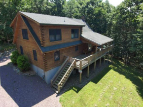Mountain Maryland! Bear in the Woods